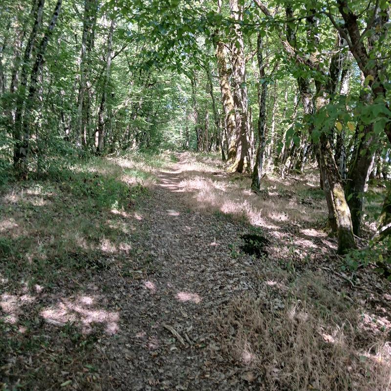Sentier parcourant la zone Natura 2000