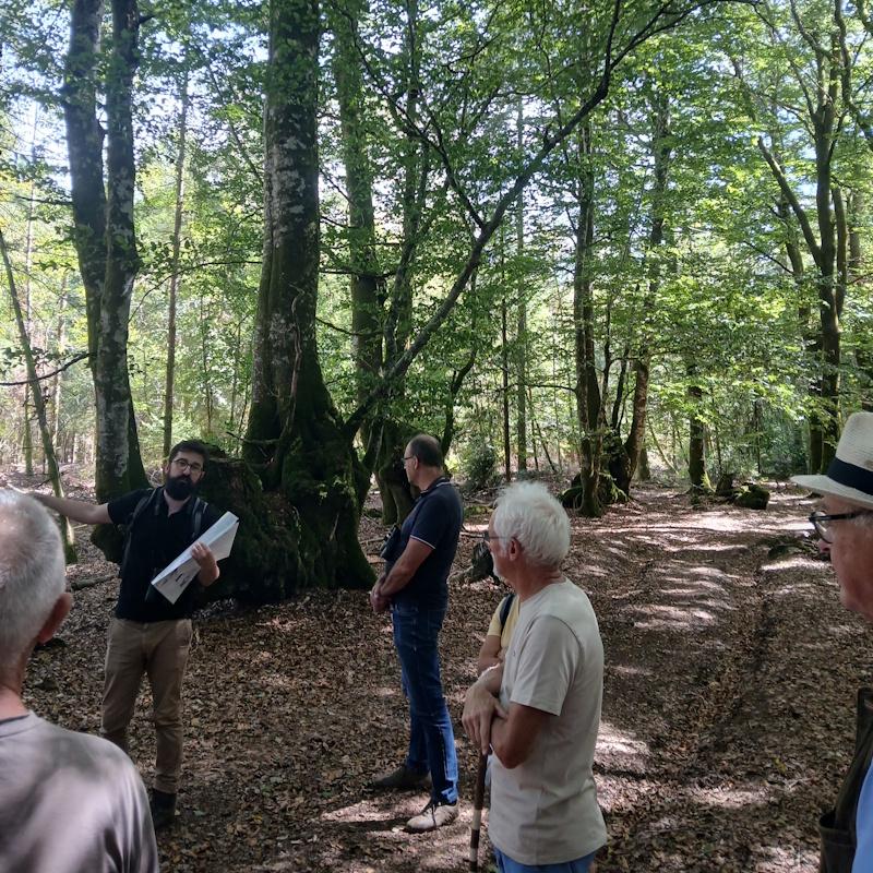 Forêt à Haute Valeur Environnementale
