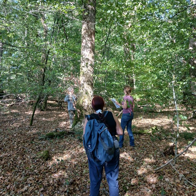 Réalisation d'un indice de Biodiversité Potentielle