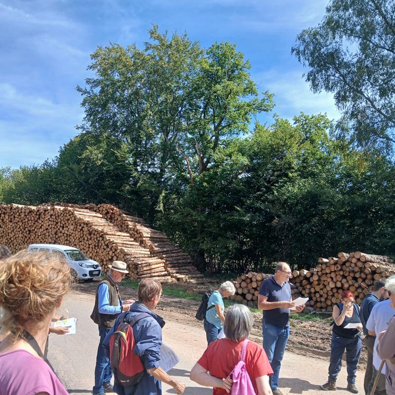Le RDV à l'entrée de la forêt