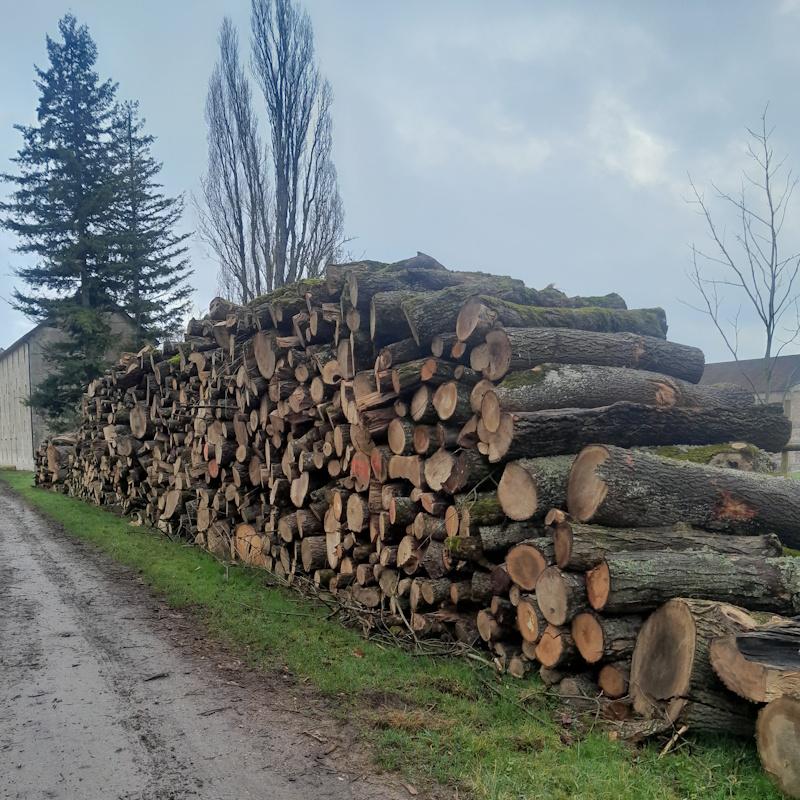 Pile de bois de chauffage