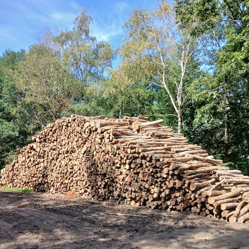 Pile de bois de chauffage